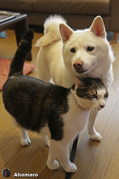 写真00