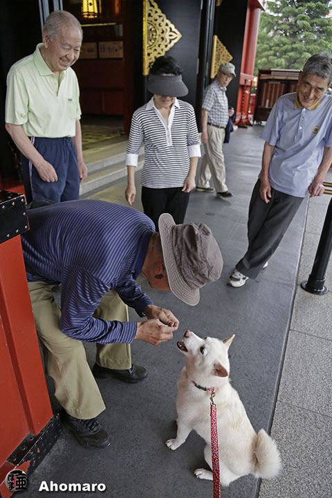写真00