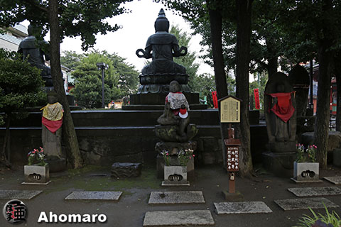 写真00