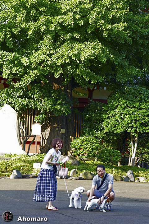 写真00