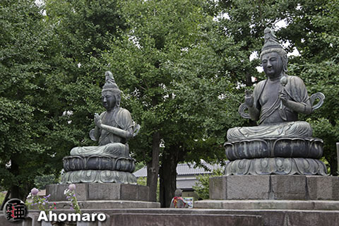 写真00