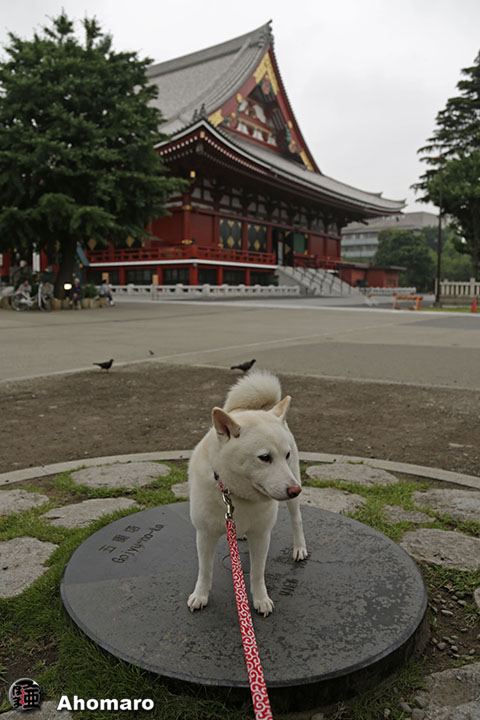 写真00