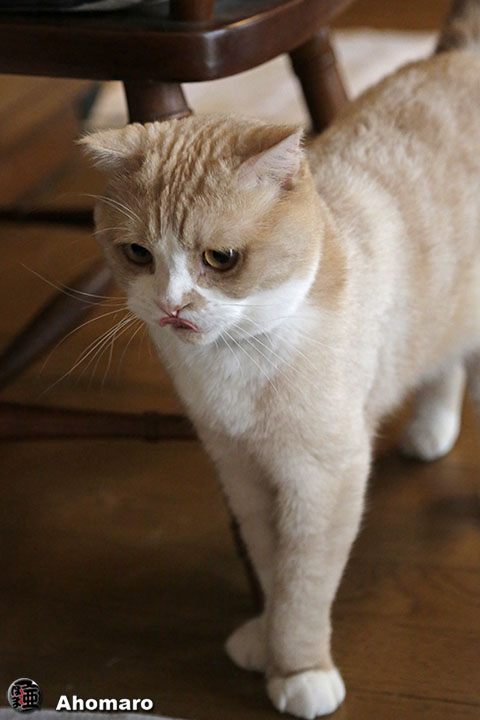 ʐ^00