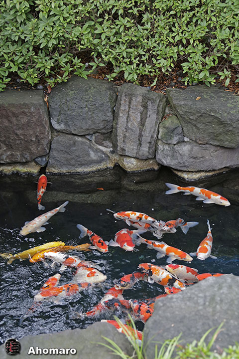 写真00