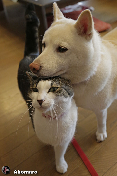 写真00