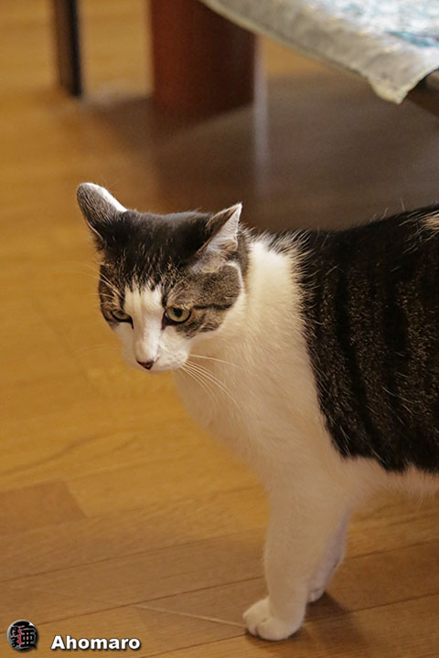 写真00