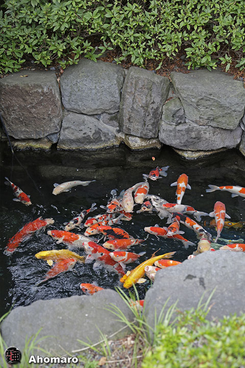 写真00