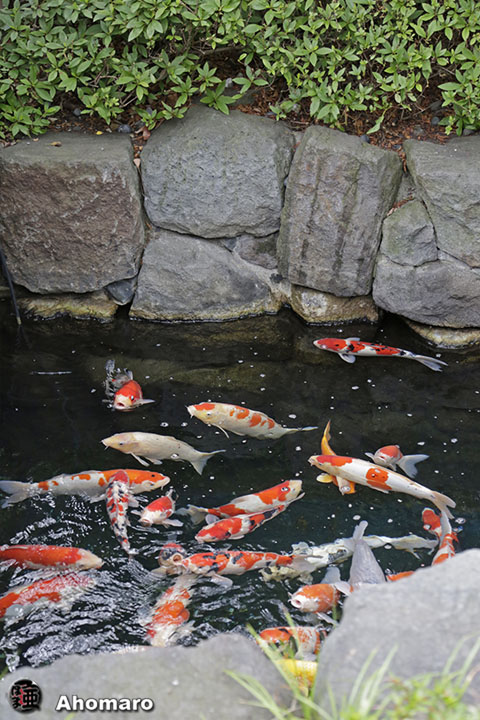 写真00