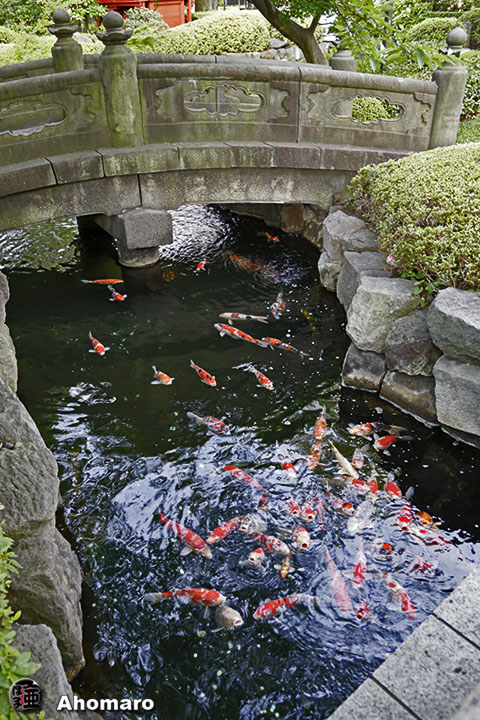 写真00