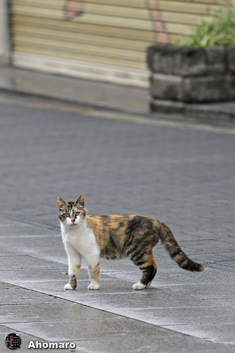 写真00