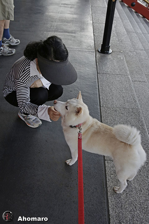 写真00