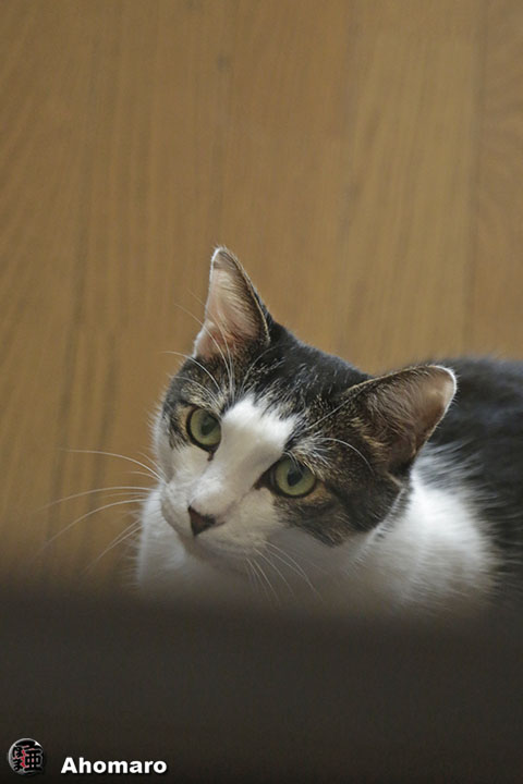 写真00