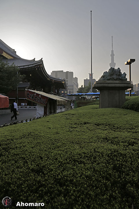 写真00