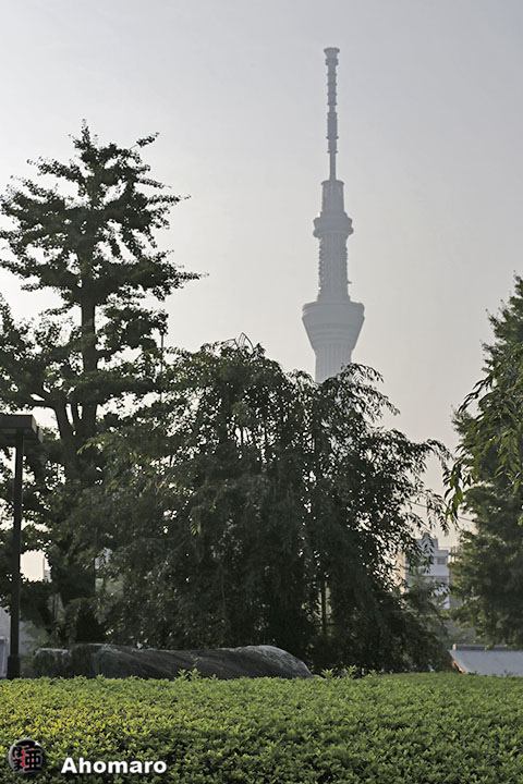 写真00