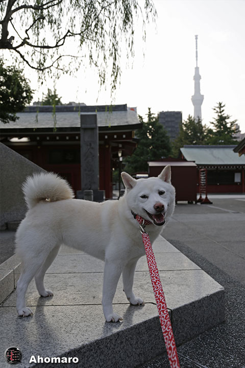 写真00