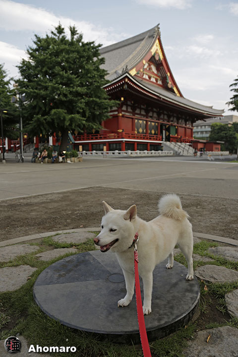 写真00