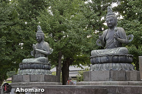 写真00