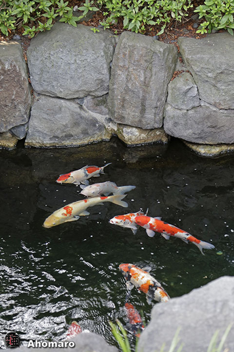 写真00