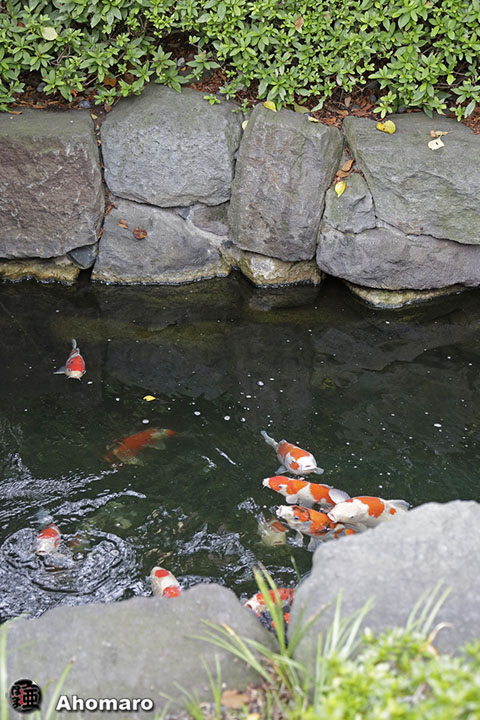 写真00