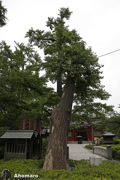 写真00