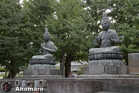 写真00