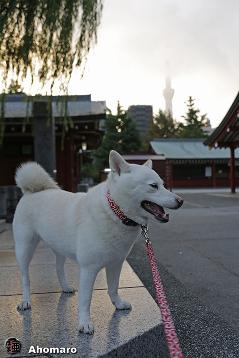 写真00