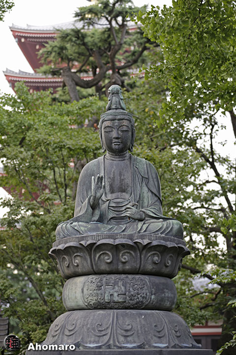写真00