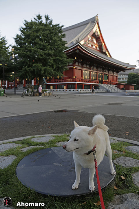 写真00