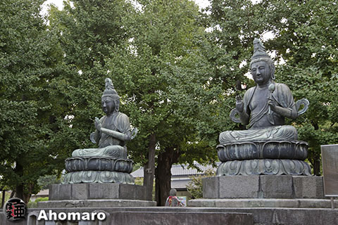 写真00