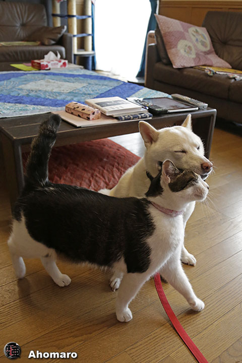 写真00