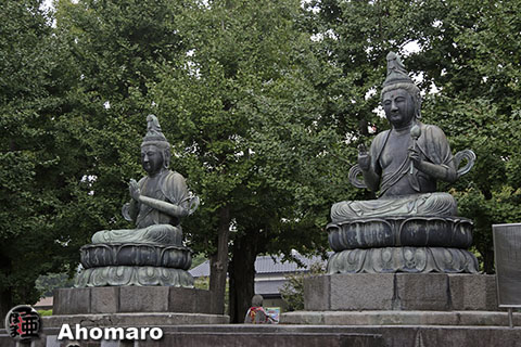 写真00