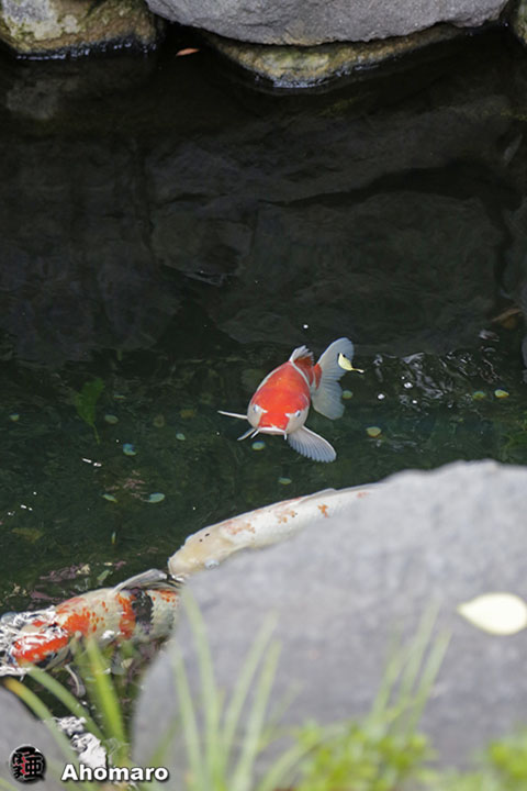写真00