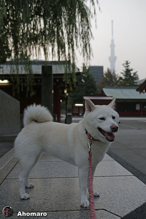 写真00
