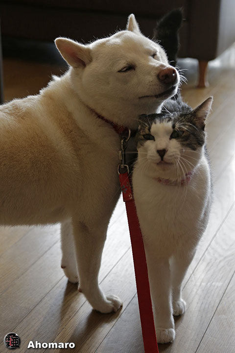 ʐ^00
