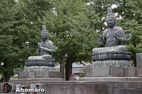 写真00