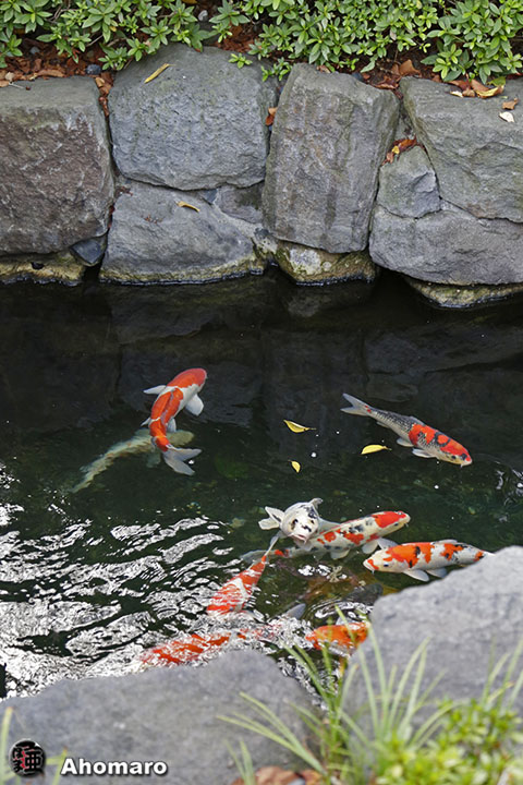 写真00