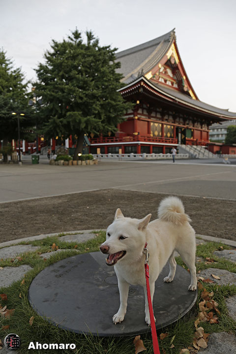 写真00