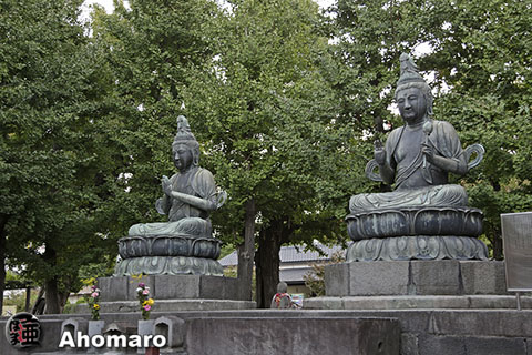 写真00