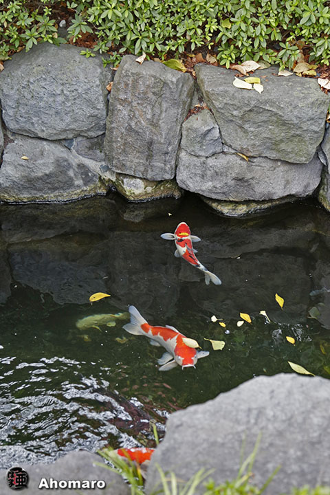 写真00
