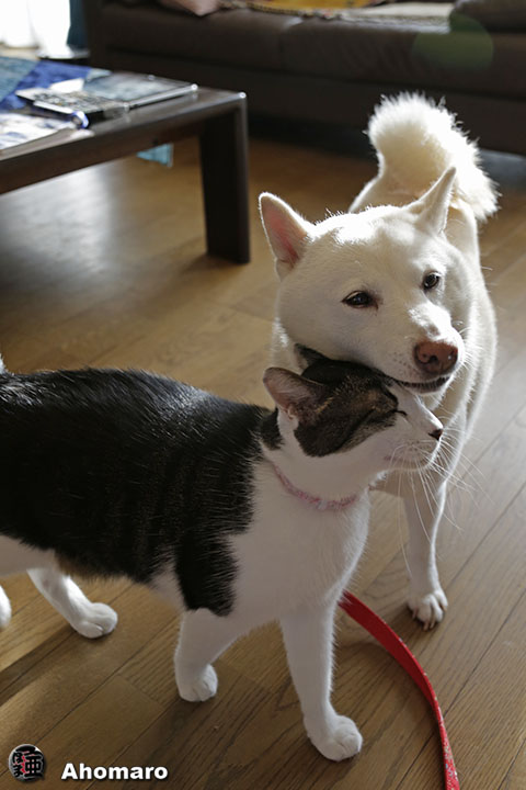 写真00
