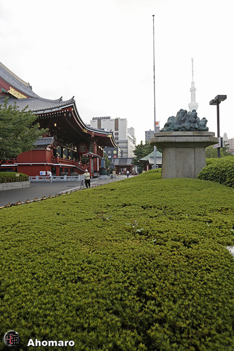 写真00
