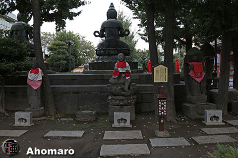 写真00