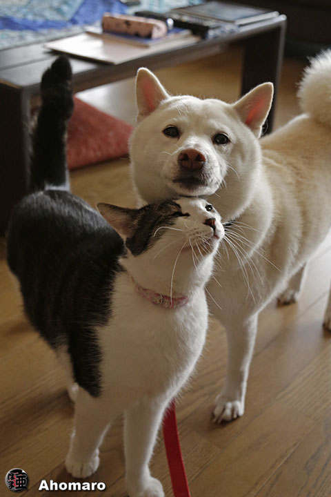 写真00
