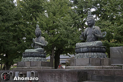 写真00
