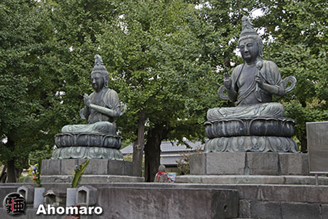 写真00