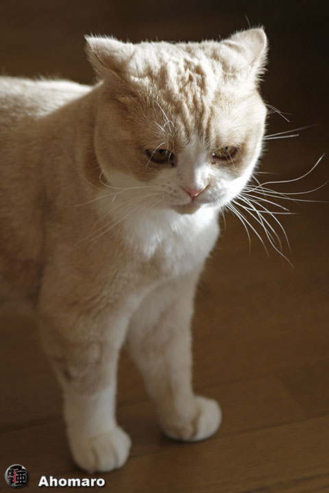 写真00