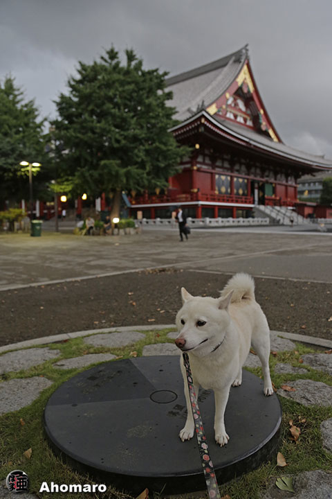 写真00