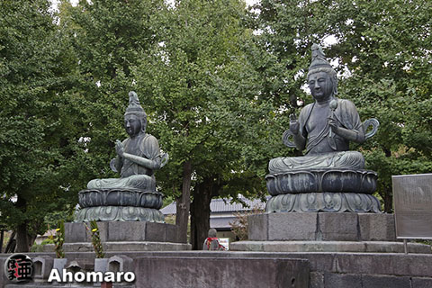 写真00