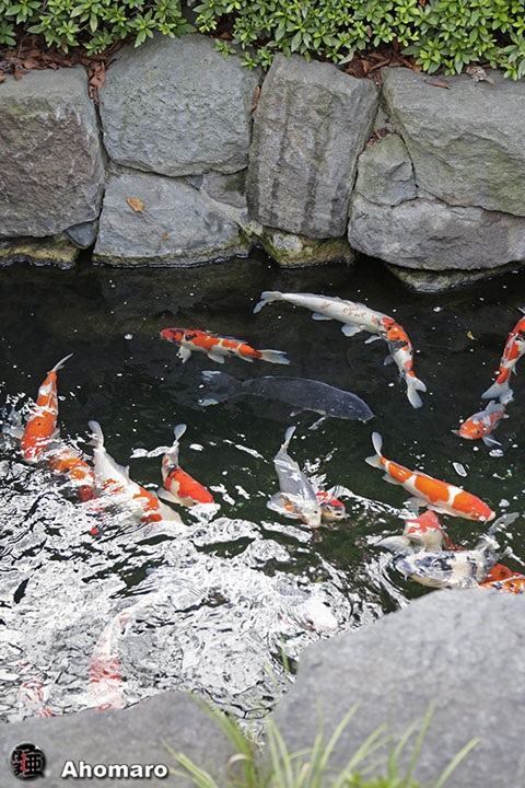 写真00
