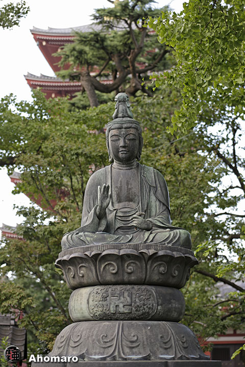 写真00
